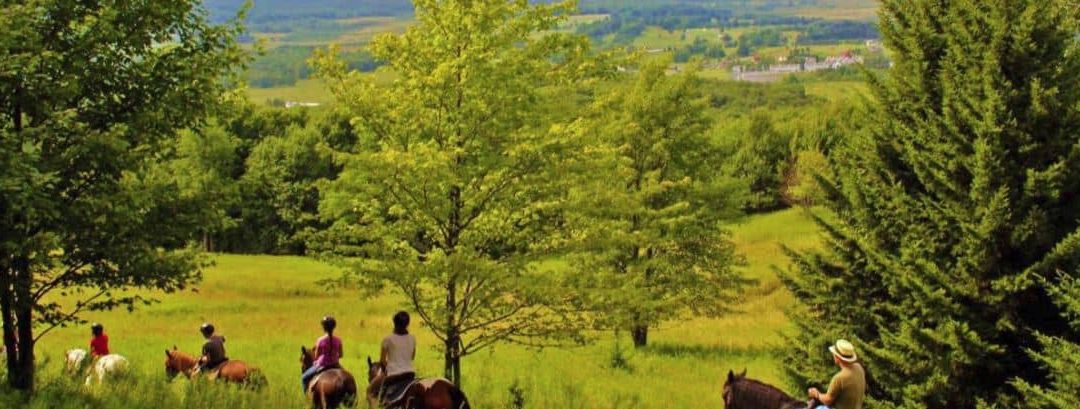 Hay! Enjoy Canaan Valley Horseback Riding